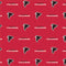 NFL Atlanta Falcons Blitz Series Apple AirPods 2 Skin