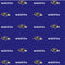 NFL Baltimore Ravens Blitz Series Playstation 3 & PS3 Slim Skin