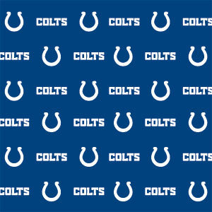 NFL Indianapolis Colts Blitz Series Wii (Includes 1 Controller) Skin