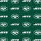 NFL New York Jets Blitz Series Galaxy Buds Plus Skin