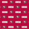 NFL San Francisco 49ers Blitz Series Xbox 360 (Includes HDD) Skin