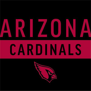 NFL Arizona Cardinals Black Performance Series Fire TV Cube Skin