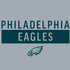 NFL Philadelphia Eagles Silver Performance Series iPhone XS Clear Case