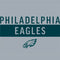 NFL Philadelphia Eagles Silver Performance Series Studio Wireless Skin