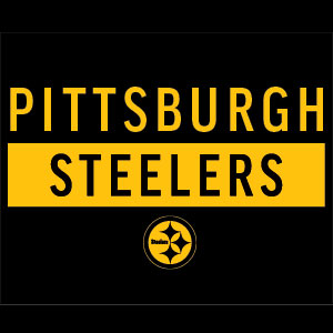 NFL Pittsburgh Steelers Black Performance Series Xbox 360 Slim (2010) Skin