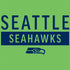 NFL Seattle Seahawks Green Performance Series iPhone XS Clear Case