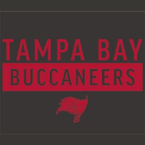 NFL Tampa Bay Buccaneers Brown Performance Series Cooler Master MasterBox Q300L Mini Tower Skin