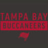 NFL Tampa Bay Buccaneers Brown Performance Series iPhone XS Clear Case