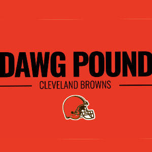 NFL Cleveland Browns Team Motto Xbox 360 Slim (2010) Skin