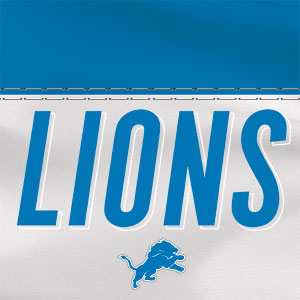NFL Detroit Lions White Striped Pixelbook Skin