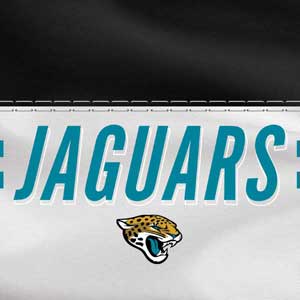 NFL Jacksonville Jaguars White Striped Xbox 360 Slim (2010) Skin