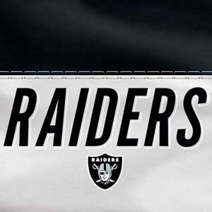 NFL Las Vegas Raiders White Striped Beats Solo Pro Skin