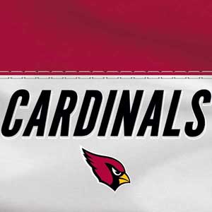 NFL Arizona Cardinals White Striped PS5 Digital Edition Console Skin