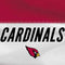 NFL Arizona Cardinals White Striped Pixelbook Skin