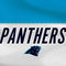 NFL Carolina Panthers White Striped Apple AirPods 2 Skin