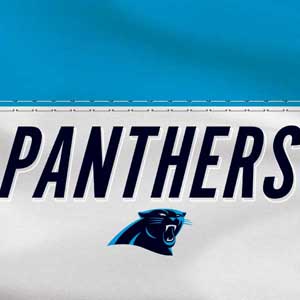 NFL Carolina Panthers White Striped Yoga 710 14in Skin