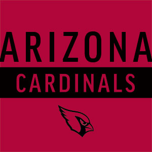 NFL Arizona Cardinals Red Performance Series Wii (Includes 1 Controller) Skin