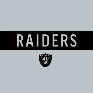 NFL Las Vegas Raiders Silver Performance Series Wii (Includes 1 Controller) Skin