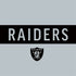 NFL Las Vegas Raiders Silver Performance Series iPhone XS Clear Case