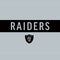 NFL Las Vegas Raiders Silver Performance Series Studio Wireless Skin