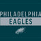 NFL Philadelphia Eagles Green Performance Series Wii (Includes 1 Controller) Skin