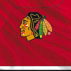 NHL Blackhawks Red Stripes DS Lite Skin