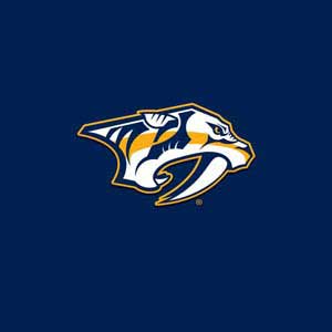 NHL Nashville Predators Logo Yoga 710 14in Skin