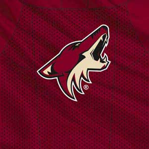 NHL Arizona Coyotes Home Jersey Surface Laptop Skin
