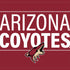 NHL Arizona Coyotes Lineup iPhone XS Clear Case