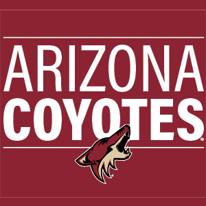 NHL Arizona Coyotes Lineup Playstation 3 & PS3 Skin
