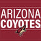 NHL Arizona Coyotes Lineup Playstation 3 & PS3 Skin
