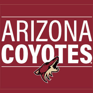 NHL Arizona Coyotes Lineup Xbox 360 Slim (2010) Skin