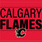 NHL Calgary Flames Lineup Playstation 3 & PS3 Skin