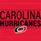 NHL Carolina Hurricanes Lineup Fire TV Cube Skin