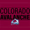 NHL Colorado Avalanche Lineup Fire TV Cube Skin