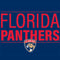 NHL Florida Panthers Lineup Xbox 360 Slim (2010) Skin