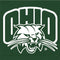 Ohio University Ohio University Outline Surface Go Skin