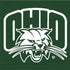 Ohio University Ohio University Outline iPhone 8 Folio Case