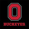 Ohio State University OSU Google Pixel Slate Skin