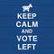 Keep Calm And Vote Left Fire TV Cube Skin