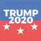 Trump 2020 Wii (Includes 1 Controller) Skin