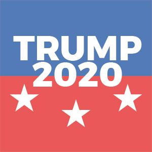Trump 2020 Galaxy Note 10 Plus Skin
