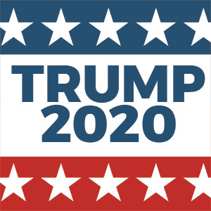 Trump 2020 Red White and Blue Galaxy Note 10 Plus Skin