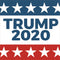 Trump 2020 Red White and Blue Galaxy Note 10 Plus Skin