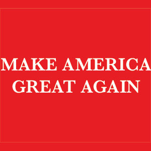 Make American Great Again Xbox 360 Slim (2010) Skin