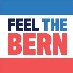Feel The Bern Galaxy S20 Pro Case