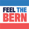 Feel The Bern Galaxy Note 10 Plus Skin