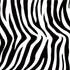 Zebra Print iPhone XS Clear Case