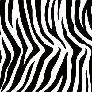 Zebra Print Wii (Includes 1 Controller) Skin
