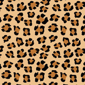 Leopard Spots Print Wii (Includes 1 Controller) Skin